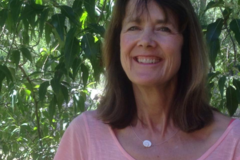 Request Quote: Two Rivers Animal Chiropractic - Basalt, CO