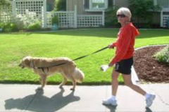 Request Quote: Pitter Patter Pet Care - In Home Pet Sitting - Davis, CA