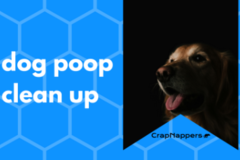 Request Quote: CrapNappers - A Dog Waste Removal Company - Tempe, AZ