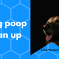 CrapNappers - A Dog Waste Removal Company - Tempe, AZ