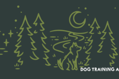 Request Quote: In Home Private Dog Training in New York's Capital Region - New York, NY