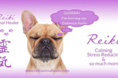Request Quote: Animal Reiki by Liz - Elma, NY