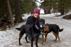Request Quote: S'Wooft Dog Walking & Pet Care Services - Chicago, IL