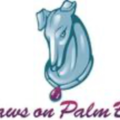Paws on Palm Beach - Professional In Home Pet Sitter - West Palm Beach, FL