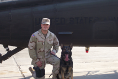 Request Quote: World Of Dog Training - Private DIY Ecourses - Huntington Beach, CA