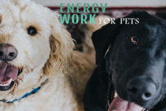 Request Quote: Awaken Your Health Naturally - Animal Reiki - Nationwide