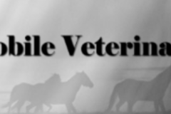 Request Quote: Equine Mobile Veterinary Services - Alta Loma, TX