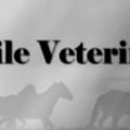 Equine Mobile Veterinary Services - Alta Loma, TX