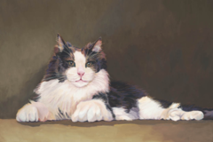 Request Quote: Pet Portraits by Lisa Hershman  - Nationwide