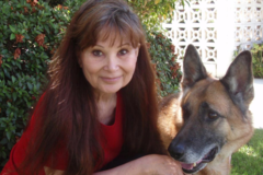 Request Quote: Westside Dog Nanny - Dog Walker and Pet Sitter - Los Angeles, CA