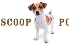 Request Quote: Scoops Pet Waste Management - Middleton, WI