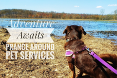 Request Quote: Prance Around Pet Services - In Home Pet Sitting - Laurel, MD