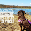 Prance Around Pet Services - In Home Pet Sitting - Laurel, MD