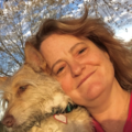 Boulder Pet Psychic and Animal Communicator - Nationwide