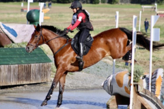 Request Quote: Four Star Farm - Equine Training - Dixon, CA