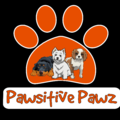 Pawsitive Pawz - Private Dog Training  - Toronto, ON
