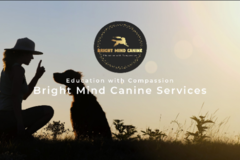 Request Quote: Bright Mind Canine Services - Dog Training - Charleston, SC