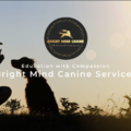 Bright Mind Canine Services - Dog Training - Charleston, SC