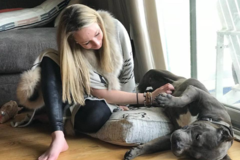 Request Quote: Well Mannered Mutt - Certified Dog Trainer - Fairfield, CT