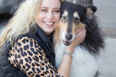 Request Quote: Pet Education and Private Dog Training Services - Pleasanton, CA