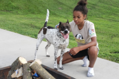 Request Quote: Pet Waste Removal and Pet Sitting Services - La Crosse, WI