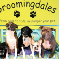 Groomingdales - Collegeville, PA