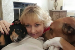Request Quote: IC PawsAbilities - Dog Training - San Clemente, CA