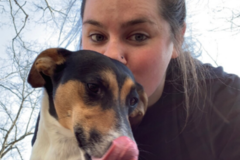 Request Quote: RCO Pet Care - In Home Pet Sitting and Dog Walking - Waterbury, CT