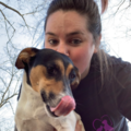 RCO Pet Care - In Home Pet Sitting and Dog Walking - Waterbury, CT