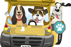 Request Quote: Partners Private Dog Training - Cave Creek, AZ