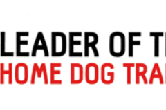 Request Quote: Leader of the Pack Home Dog Training - Temecula, CA