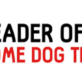 Leader of the Pack Home Dog Training - Temecula, CA