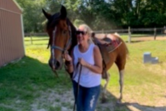 Request Quote: Animal Reiki Master Teacher  - Nationwide