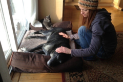 Request Quote: Live Better Holistics - Animal Reiki Care  - Nationwide