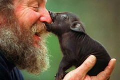 Request Quote: Pets 4 People - Puppy Rescue - Nationwide