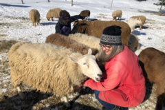 Request Quote: HeartSong for Animals - Animal Reiki Care - Nationwide