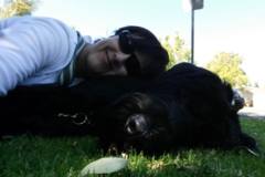 Request Quote: In Home Pet Sitting by Marisa - West Los Angeles, CA