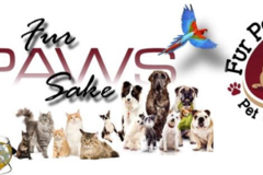 Request Quote: Fur Paws Sake Pet Sitting - Dallas, TX