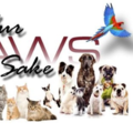 Fur Paws Sake Pet Sitting - Dallas, TX