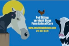 Request Quote: Kristin’s Pet Sitting and Farm Care - Ivanhoe, TX