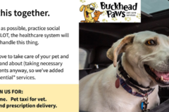 Request Quote: Buckhead Paws - Professional Dog Walking and Pet Sitting - Atlanta, GA