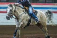 Request Quote: Equine Massage Therapy (HorseaSage) - Wapwallopen, PA