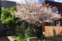 Request Quote: Full Time Pet Care - Pet Boarder - San Francisco, CA