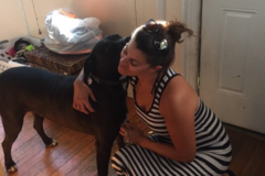 Request Quote: Waggin Tails Brooklyn - In Home Pet Sitting - Brooklyn, NY