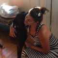 Waggin Tails Brooklyn - In Home Pet Sitting - Brooklyn, NY