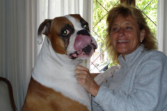 Request Quote: Ana's Pet Sitting and Dog Walking Services - Woodland Hills, CA