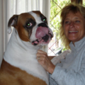 Ana's Pet Sitting and Dog Walking Services - Woodland Hills, CA