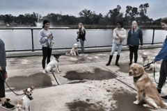 Request Quote: Robin's K9 Lifestyle - Waldo, FL