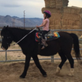 Overnight Horse Boarding - Ridgecrest, CA