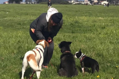 Request Quote: Pawsitively Paws - In Home Pet Sitting - Vancouver, WA